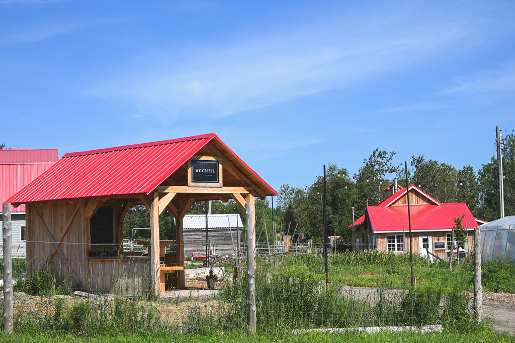 Ferme des petits torrieux - cabane à sucre