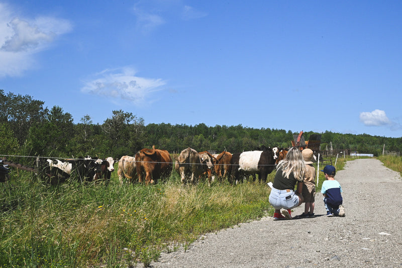 Rally Visit to the Farm