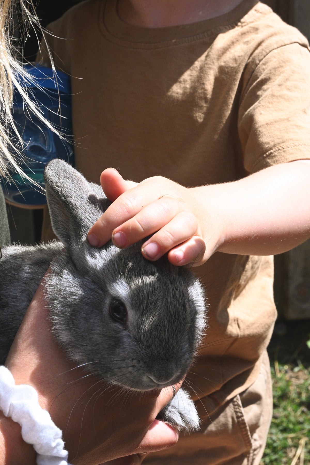 Rally Visit to the Farm