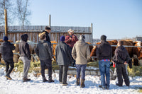 Animated tour of the farm for 20 to 60 people