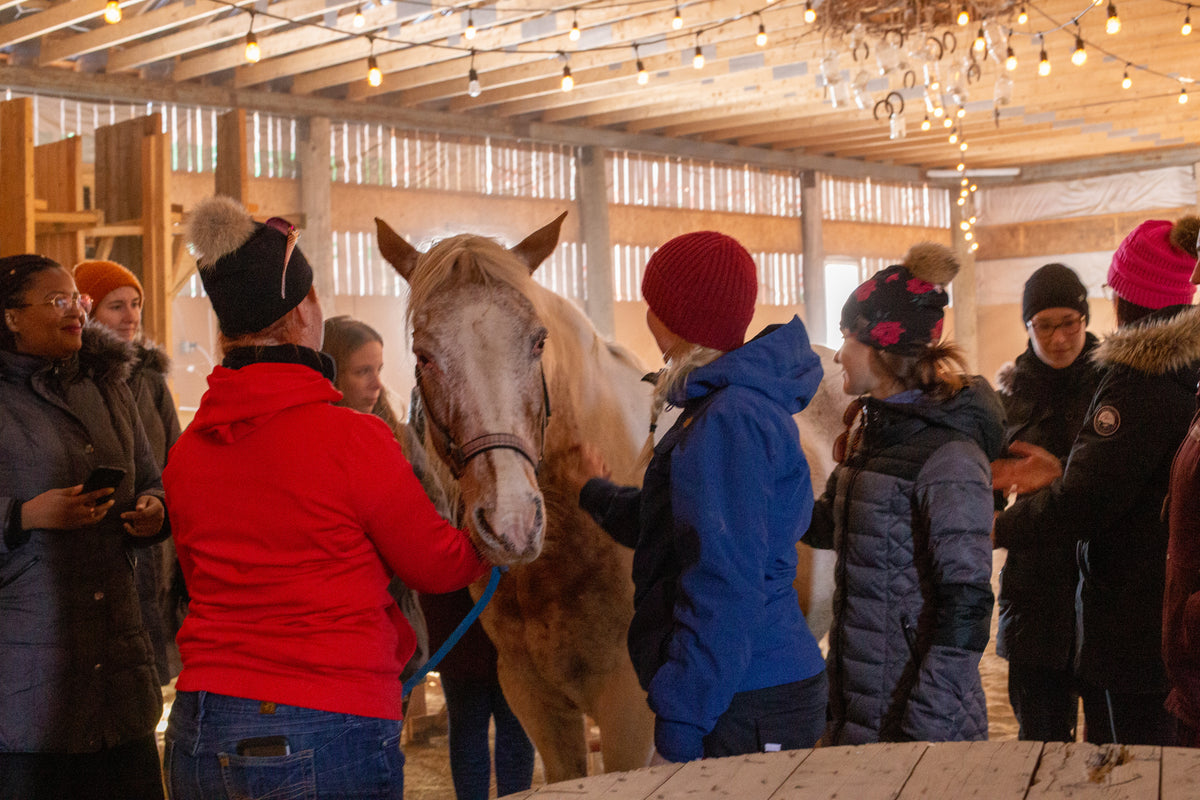 Animated tour of the farm for 20 to 60 people