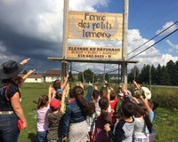 Animated tour of the farm for 20 to 60 people