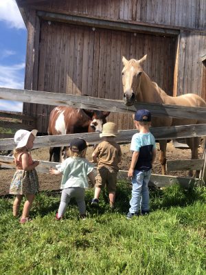 Rally Visit to the Farm